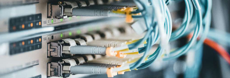 câble réseau